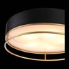 Светильник потолочный ST Luce Chodo SL1127.432.05