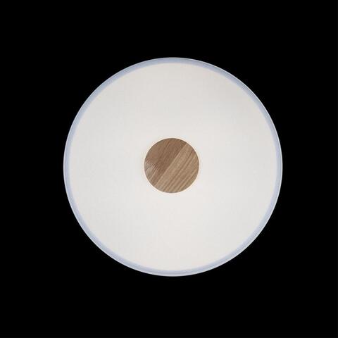 Потолочный светильник Loft It Axel 10003/24 White