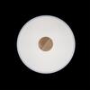 Потолочный светильник Loft It Axel 10003/24 White