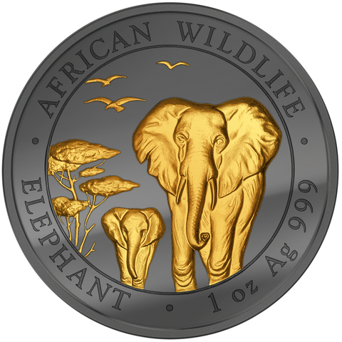 Сомали 2015 100 шиллингов, серебро, Золотая энигма, Слон