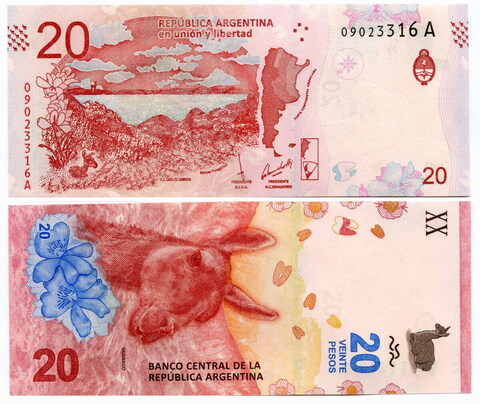 Банкнота Аргентина 20 песо 2017 год (лама Гуанако). UNC
