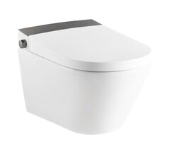 Унитаз умный подвесной RIIFO Provecta комплект PP B-2026Q