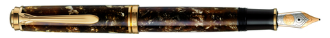 Ручка перьевая Pelikan Souverän® M800 SE, M (805391)
