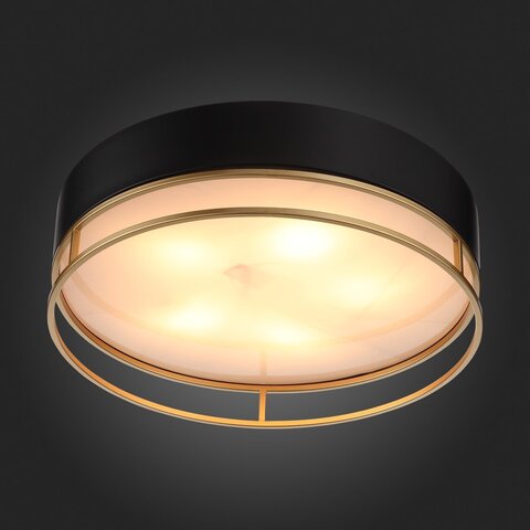Светильник потолочный ST Luce Chodo SL1127.432.05
