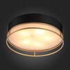 Светильник потолочный ST Luce Chodo SL1127.432.05