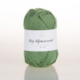 Пряжа Infinity Big Alpaca Wool 8543 зеленый