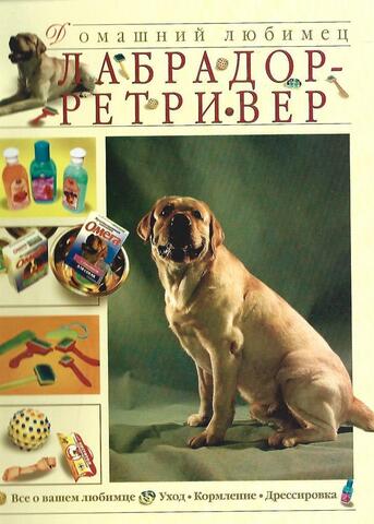 Лабрадор-ретривер