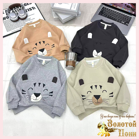 Свитшот хлопок м (2-7) 251026-А778