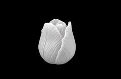 Силиконовый молд 3D Тюльпан в бутоне