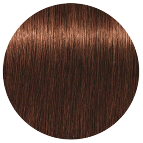 Schwarzkopf Igora Royal New 5-57 (Светлый коричневый золотистый медный) - Краска для волос