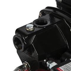 Насосная станция QUATTRO ELEMENTI Automatico 1000 Ci (1000 Вт, 3300 л/ч, для чистой, 42 м (770-643)