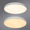 Светильник Arte Lamp Arena A2671PL-1WH