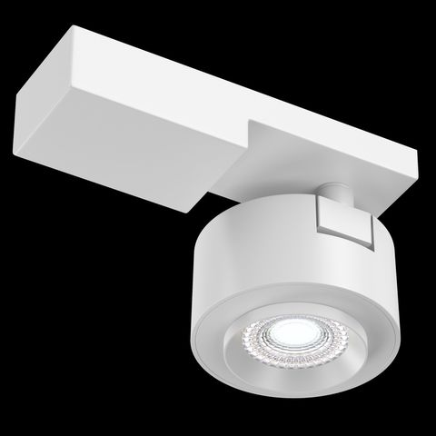 Потолочный светильник Technical Treo C062CL-L12W4K