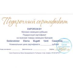 Подарочный сертификат Emporium.by в серебристом конверте, номинальная цена 250 рублей