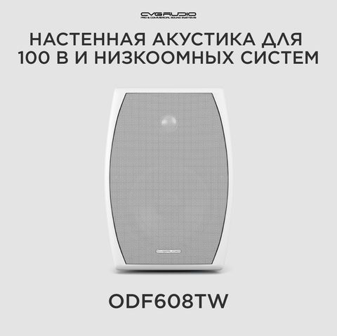 CVGAUDIO ODF608TW Двухполосная настенная акустическая система 8ohm/100V