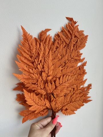 Листья папоротника Терракот (упаковка)