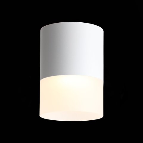 Светильник потолочный ST Luce ST100.542.15