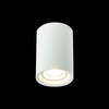 Светильник потолочный ST Luce ST114.507.01