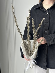 Пучок вербы в упаковке