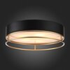 Светильник потолочный ST Luce Chodo SL1127.432.05