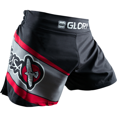 Hayabusa Glory