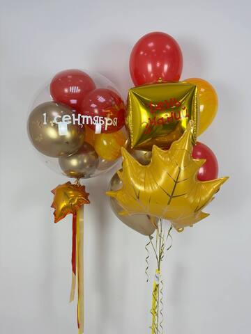 Набор 1 сентября #3