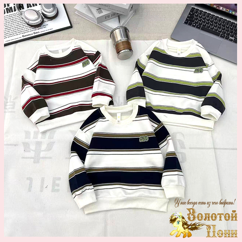 Свитшот хлопок м (2-7) 251026-А779