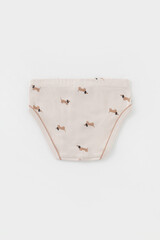 трусы/ уп  для мальчика  К 1928-3уп/песок,бежевый,тем.серый,таксы