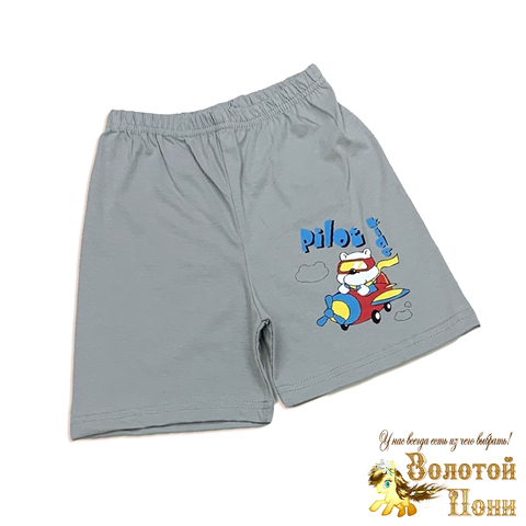 Шорты хлопок м (1-4) 260324-VT823