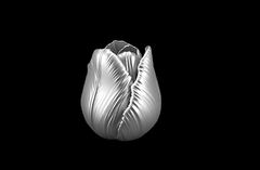 Силиконовый молд 3D Тюльпан в бутоне