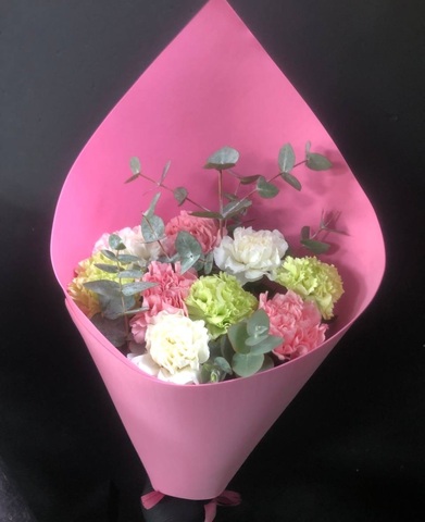 Разноцветная гвоздика