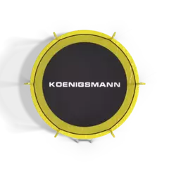 Батут Koenigsmann T-10 305 cm