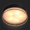 Светильник потолочный ST Luce Chodo SL1127.432.05