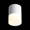 Светильник потолочный ST Luce ST100.542.15