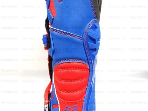 Мотоботы  Fox Racing Comp 5 синий-красный