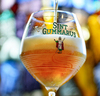 St. Gummarus Tripel on tap