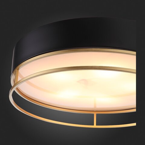 Светильник потолочный ST Luce Chodo SL1127.432.05