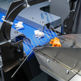 фото 20 Горизонтальная упаковочная машина DXDZ-250XD 3 servo на profcook.ru