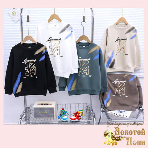 Свитшот хлопок м (7-12) 250824-G6144
