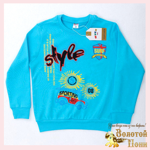 Свитшот хлопок м (1-4) 251031-FU106