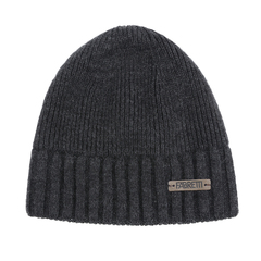 Шапка мужская FABRETTI DFRG56-45