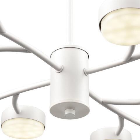 Подвесная люстра Lumion TORINA 8265/12