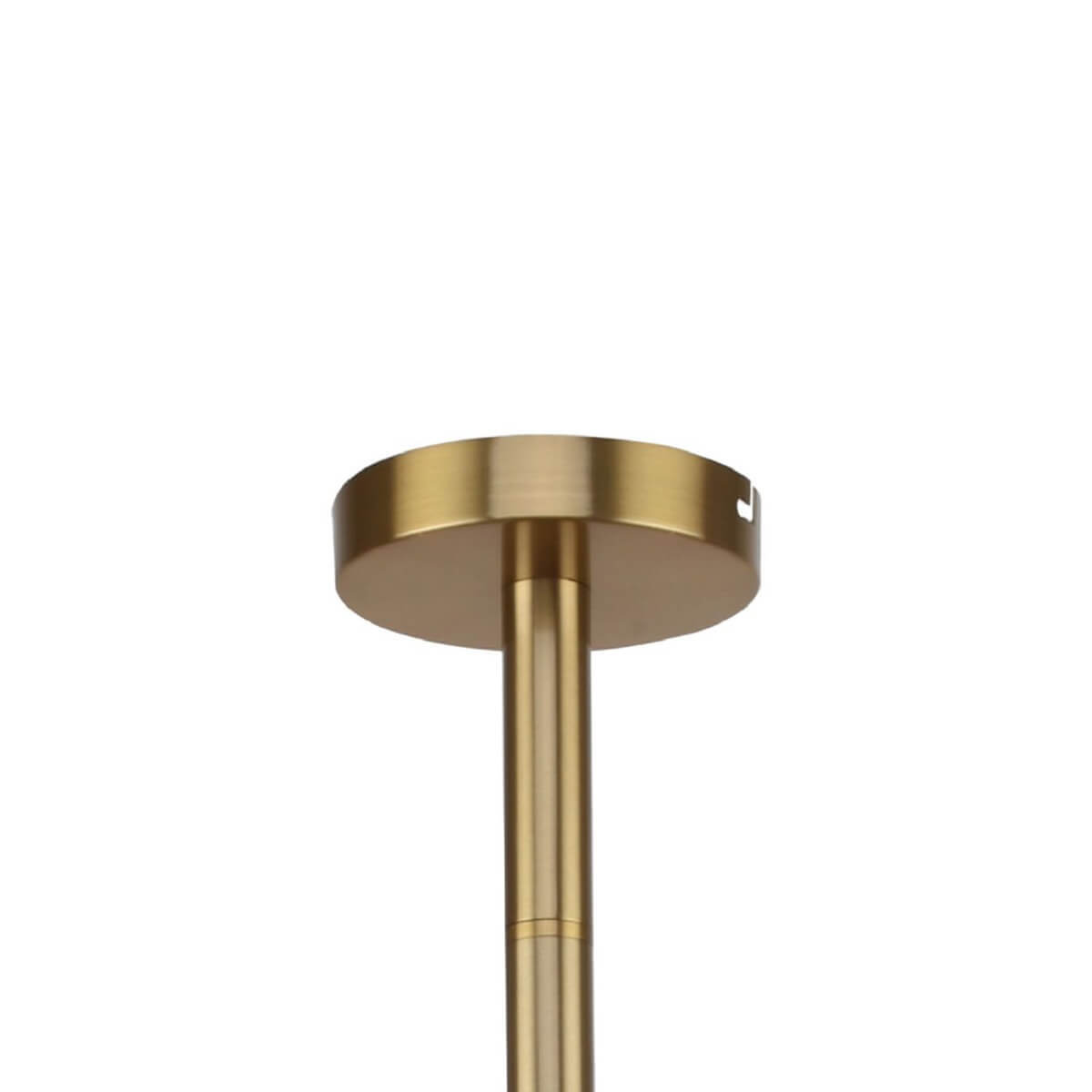 Подвесная люстра Favourite Eternity 2765-12P