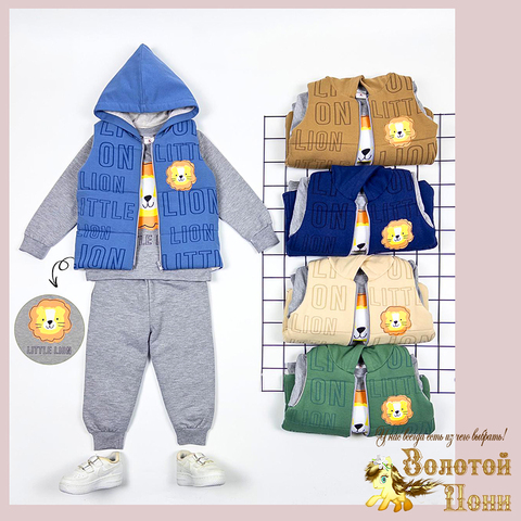 Костюм 3ка детский (74-98) 260201-TR1105