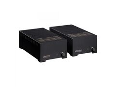 Усилитель для акустики Spotless Audio P250 Monoblock 2 шт