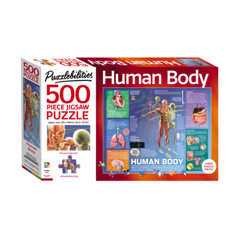 Human Body 500 Piece Jigsaw Puzzle