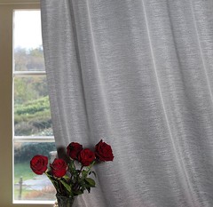 Шторы на в гостиную 