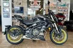 QJMOTOR SRK 400