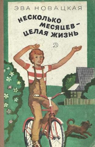 Несколько месяцев - целая жизнь