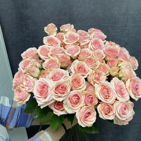 Монобукет Роза кустовая